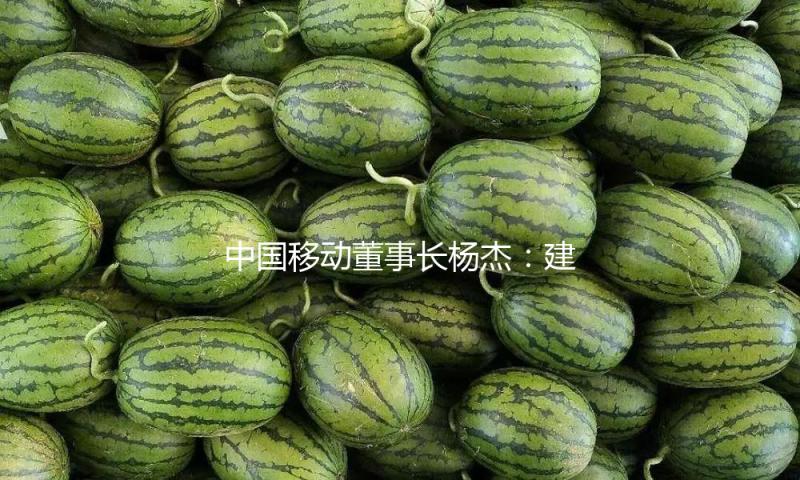 中国移动董事长杨杰：建造超大规模“算力工厂”，展开十万卡智算中心前瞻研讨