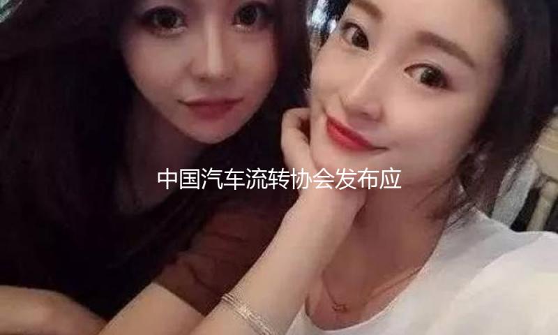中国汽车流转协会发布应对美霸凌关税倡议书 — 新京报