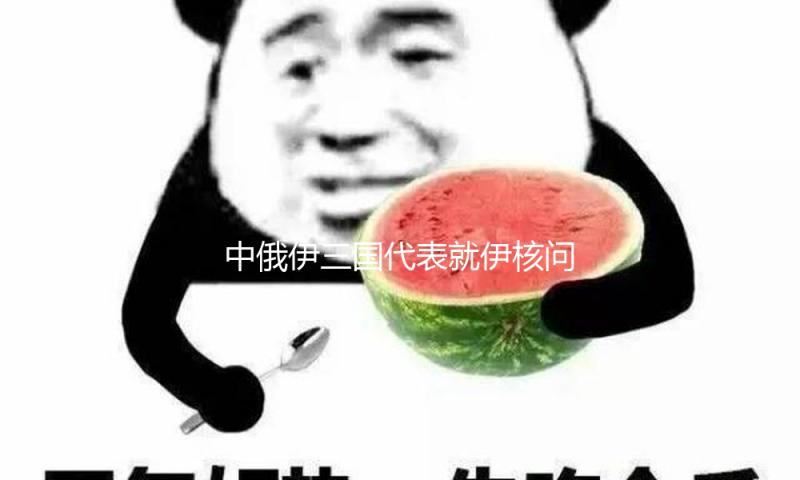 中俄伊三国代表就伊核问题一起会晤世界原子能组织总干事格罗西 — 新京报