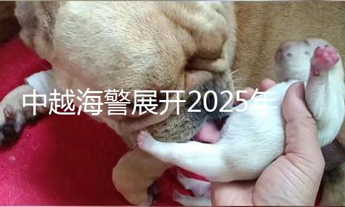 中越海警展开2025年第一次北部湾联合巡查 — 新京报