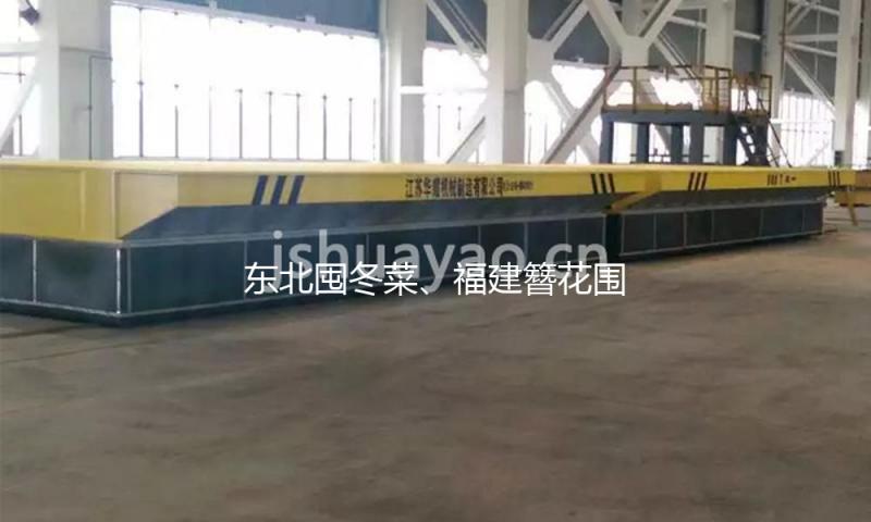 东北囤冬菜、福建簪花围：在菜市场的烟火气中感触实在我国 — 新京报