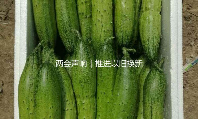 两会声响｜推进以旧换新，加速科技成果转化，贾少谦有这些主张 — 新京报