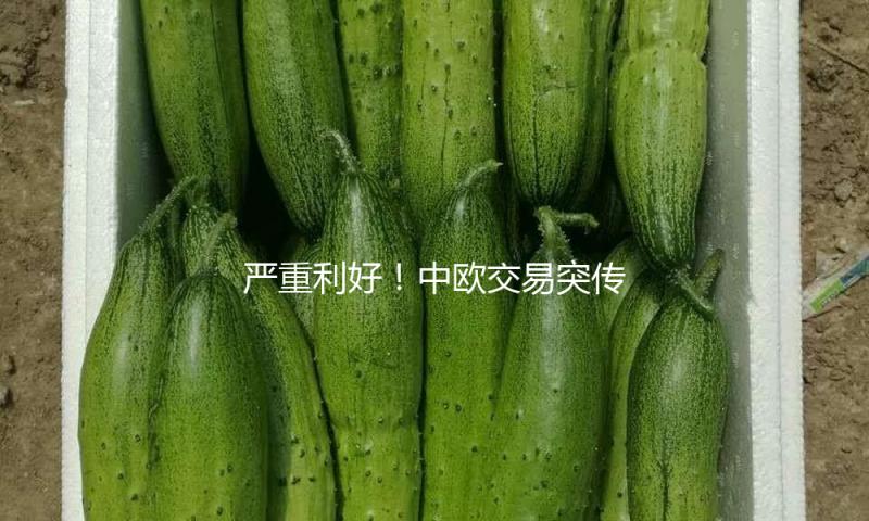 严重利好！中欧交易突传大音讯！影响多大？