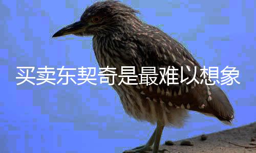 买卖东契奇是最难以想象的决议？掘金告知你并非如此