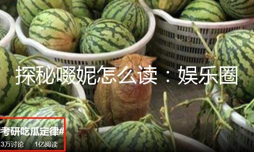探秘啜妮怎么读：娱乐圈的乐趣与知识分享之旅