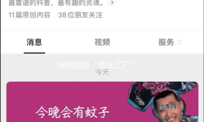 探究南极“造冰工厂” 冰间湖对整个生态系统有什么影响？