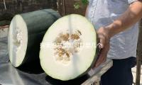 探索巴基斯坦可以娶幾個(gè)老婆的傳統(tǒng)與現(xiàn)代觀念，揭示多重家庭的精彩故事