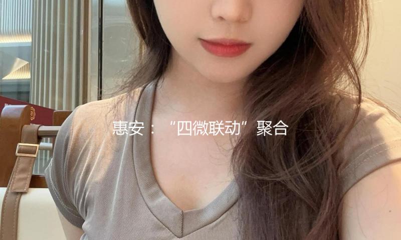 惠安：“四微联动”聚合力 共治同享谱新篇