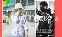 怎么選擇、貯存荔枝？這份攻略收好