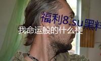 我命運般的什么梗