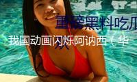 我國動畫閃爍阿訥西（華音環洋）