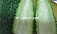 打好抗旱自動(dòng)仗 助農(nóng)穩(wěn)產(chǎn)保豐盈——多地抗旱保農(nóng)一線調(diào)查