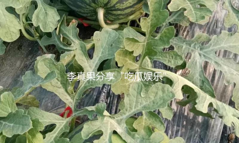 李真果分享“吃瓜娱乐”背后的积极人生观，启发你我重新定义生活乐趣