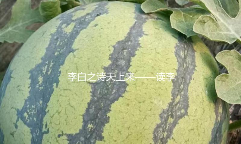 李白之诗天上来——读李白《将进酒》