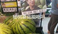 楊樹蘑菇能吃嗎