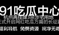杭州再掛牌3宗涉宅用地，上半年宅地出讓收入已挨近上一年全年
