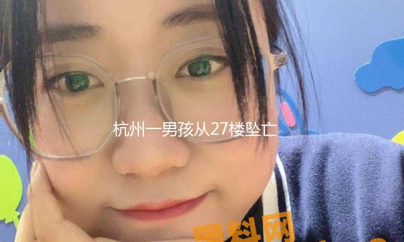 杭州一男孩从27楼坠亡 官方通报：事发时一人在家，为意外坠楼 — 新京报