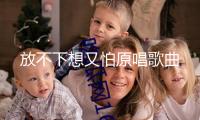 放不下想又怕原唱歌曲
