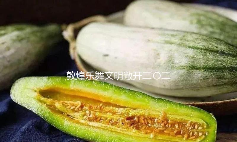 敦煌乐舞文明敞开二〇二五年在台巡展