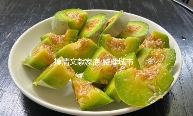 摸清文献家底 整理城市前史