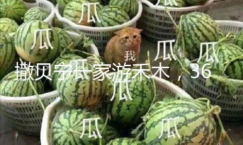 撒贝宁一家游禾木，36岁李白肤若凝脂超级美，尼格买提变电灯泡