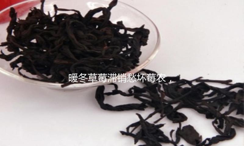 暖冬草莓滞销愁坏莓农，南京溧水城管无人机喊话暖心助农