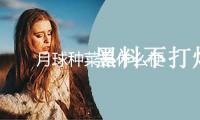 月球種菜是什么梗