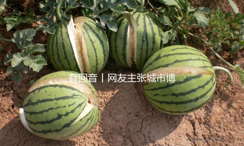 有回音丨网友主张城市博物馆建立前史演化电子屏 宁夏石嘴山：活跃执行