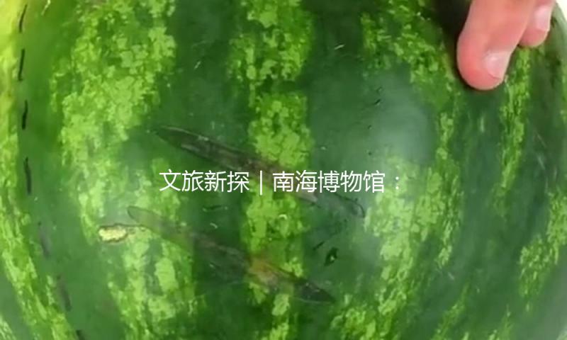 文旅新探｜南海博物馆：听“深蓝瑰宝”诉古今