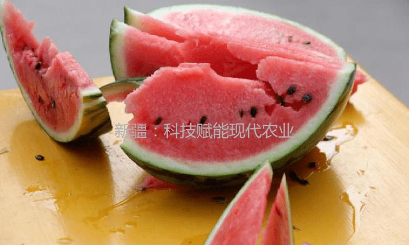 新疆：科技赋能现代农业 机械化耕种助力棉花出产