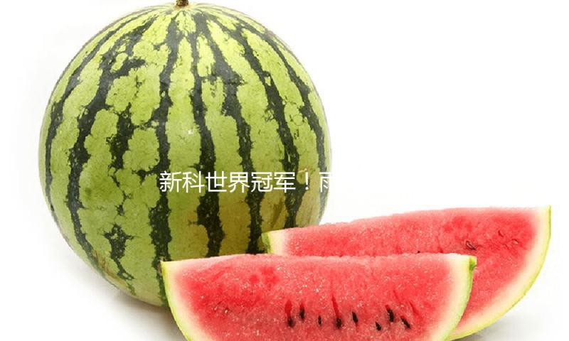 新科世界冠军！雨果4比1打败林诗栋，首夺世界杯男单冠军