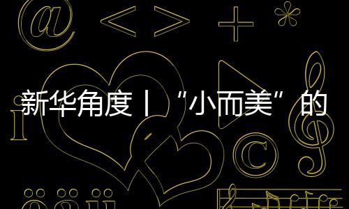 新华角度丨“小而美”的博物馆为何忽然很多走红？