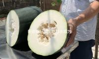 新依據標明：地球水或為“自產”而非“外來”