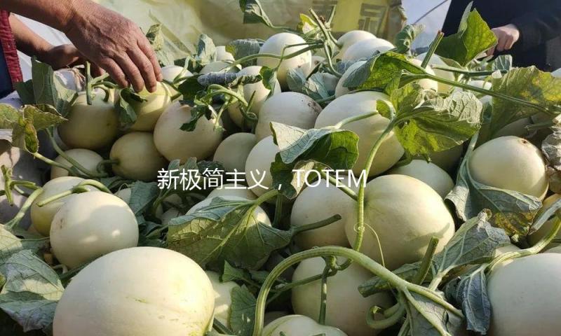 新极简主义，TOTEME正从头界说这个年代的“高档感”