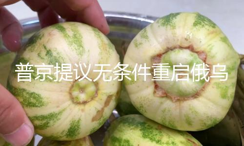 普京提议无条件重启俄乌商洽