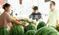 歌曲先生再見