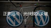正泰陸川：光伏脫困關鍵在于清晰電價機制，勝過幾分錢的組件降價