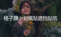 格子旗小劃痕貼遮擋貼紙個(gè)性車貼 汽車?yán)?前保險(xiǎn)杠貼火焰圖騰