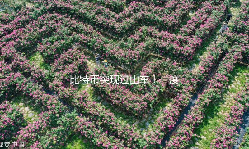 比特币突现过山车！一度跌破86000美元 12万人爆仓！