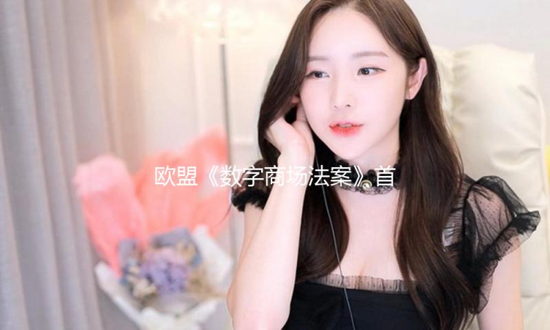 欧盟《数字商场法案》首开罚单 剑指美科技巨子独占