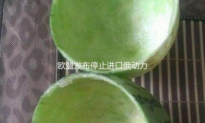 欧盟发布停止进口俄动力方案 2027年为最终期限 — 新京报