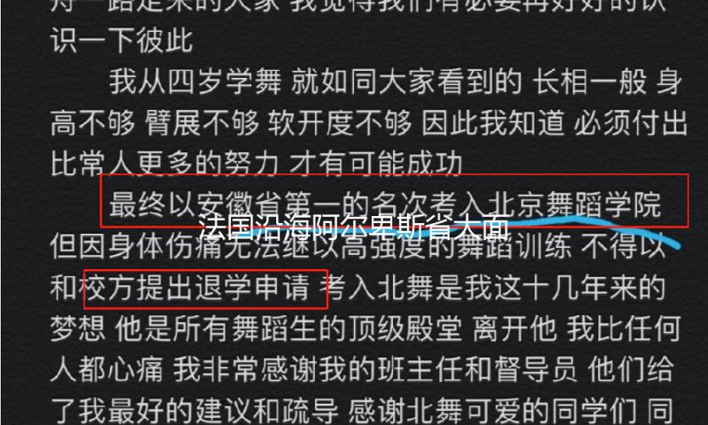 法国沿海阿尔卑斯省大面积停电，戛纳电影节电影放映一度暂停 — 新京报