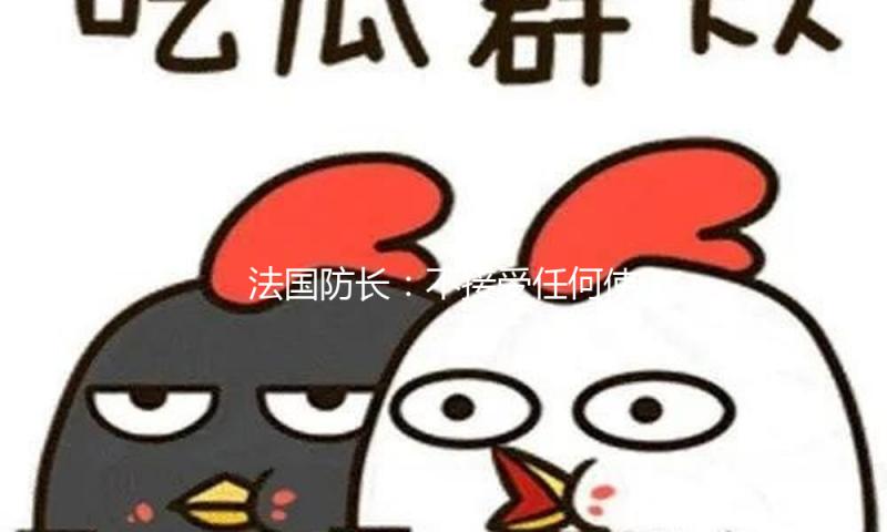 法国防长：不接受任何使乌克兰非军事化的方案