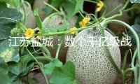 江蘇鹽城：數個千億級戰略性新興產業何故煉成