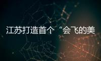江蘇打造首個“會飛的美食街”