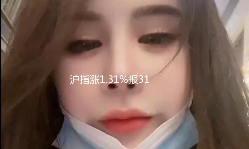 沪指涨1.31%报3186.81点：两市成交近1.7万亿元，超4500股飘红