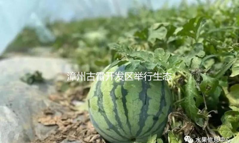 漳州古雷开发区举行生态环保重点工作推动会