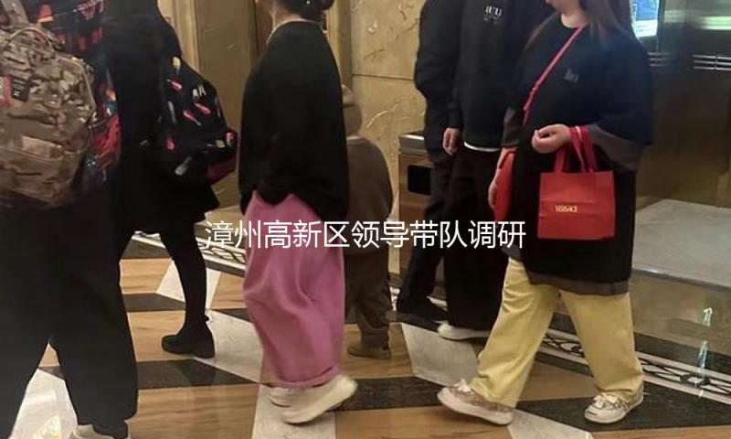 漳州高新区领导带队调研“开门红”项目龙江年月暨景区景点建造作业