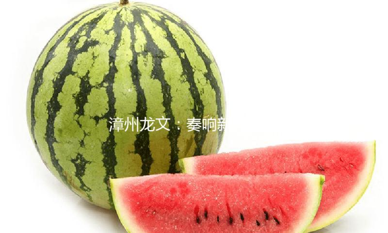 漳州龙文：奏响新时代教育“山海协奏曲”