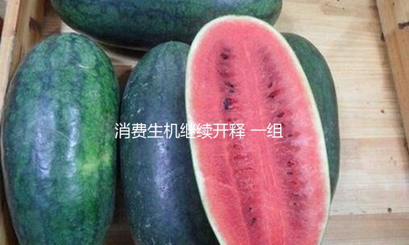 消费生机继续开释 一组税收数据看“两新”方针落地成效